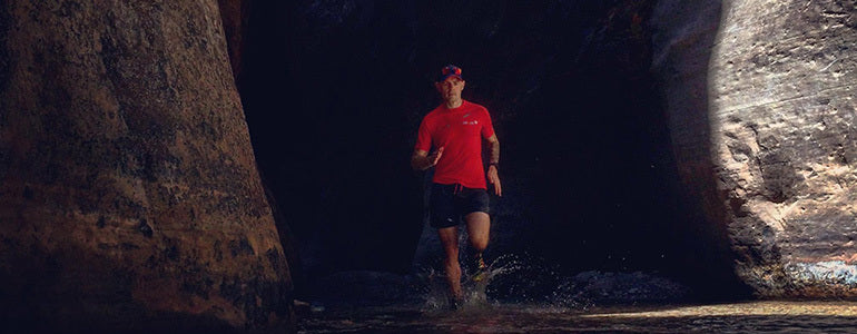 Go Gediminas!