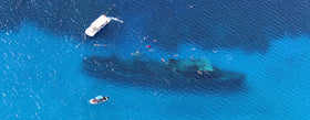 7 incredible shipwreck dives