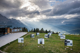 The AlpsFrontTrail - the aftermath