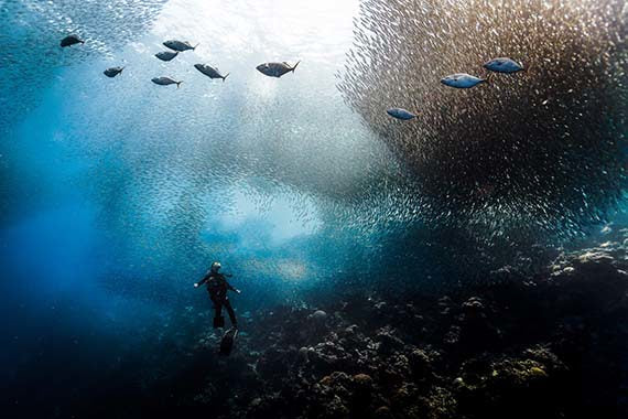 Refined new look for Suunto D6i dive computers